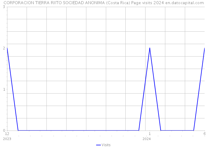 CORPORACION TIERRA RIITO SOCIEDAD ANONIMA (Costa Rica) Page visits 2024 