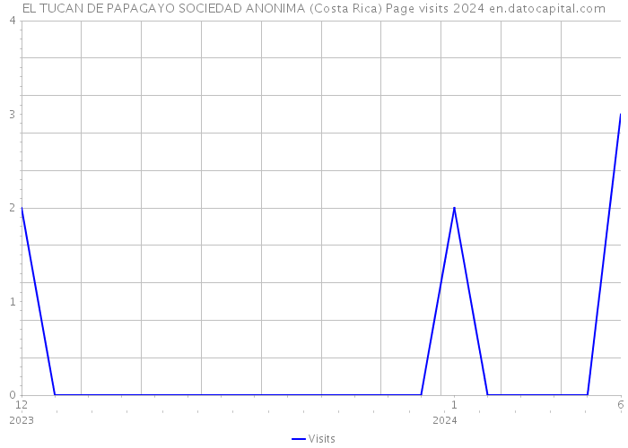 EL TUCAN DE PAPAGAYO SOCIEDAD ANONIMA (Costa Rica) Page visits 2024 