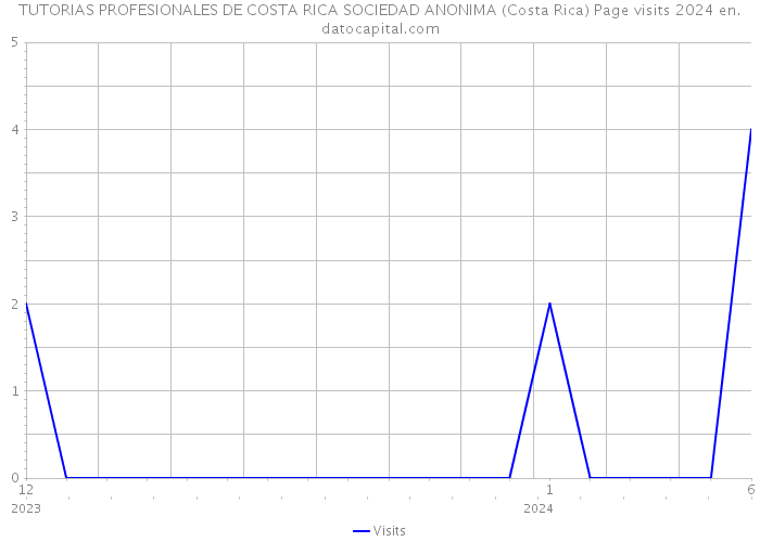 TUTORIAS PROFESIONALES DE COSTA RICA SOCIEDAD ANONIMA (Costa Rica) Page visits 2024 