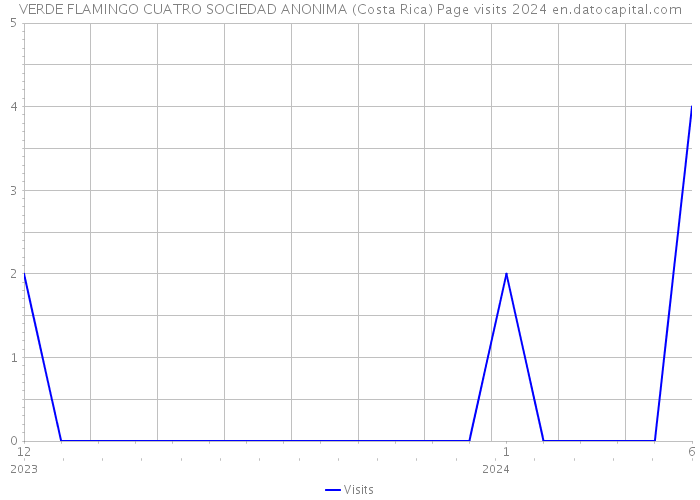 VERDE FLAMINGO CUATRO SOCIEDAD ANONIMA (Costa Rica) Page visits 2024 