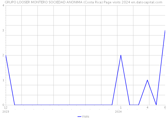 GRUPO LOOSER MONTERO SOCIEDAD ANONIMA (Costa Rica) Page visits 2024 
