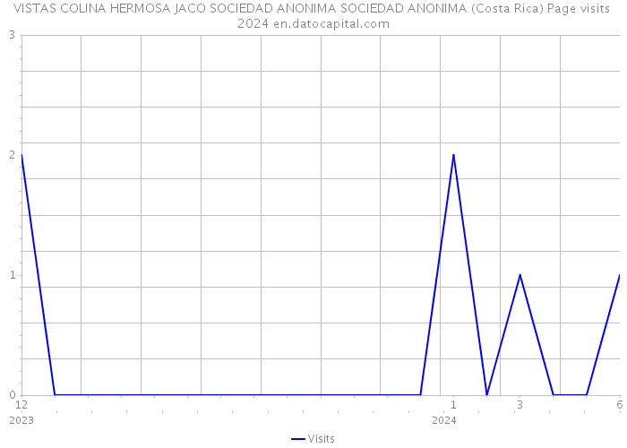 VISTAS COLINA HERMOSA JACO SOCIEDAD ANONIMA SOCIEDAD ANONIMA (Costa Rica) Page visits 2024 