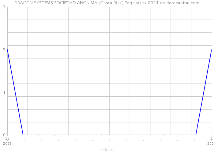 DRAGON SYSTEMS SOCIEDAD ANONIMA (Costa Rica) Page visits 2024 