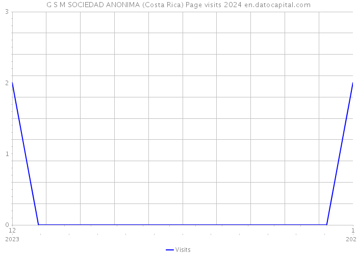 G S M SOCIEDAD ANONIMA (Costa Rica) Page visits 2024 