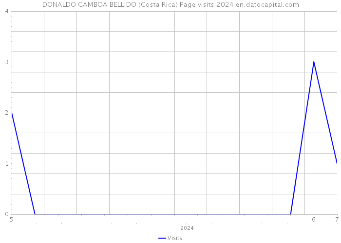 DONALDO GAMBOA BELLIDO (Costa Rica) Page visits 2024 
