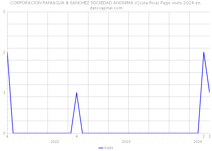 CORPORACION PANIAGUA & SANCHEZ SOCIEDAD ANONIMA (Costa Rica) Page visits 2024 