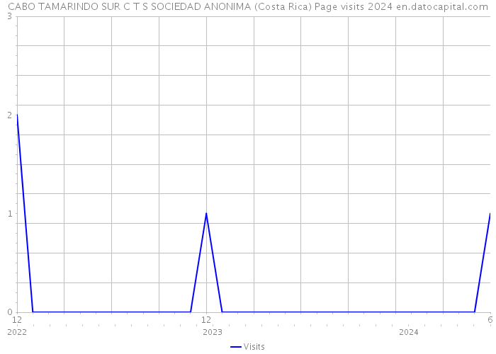 CABO TAMARINDO SUR C T S SOCIEDAD ANONIMA (Costa Rica) Page visits 2024 