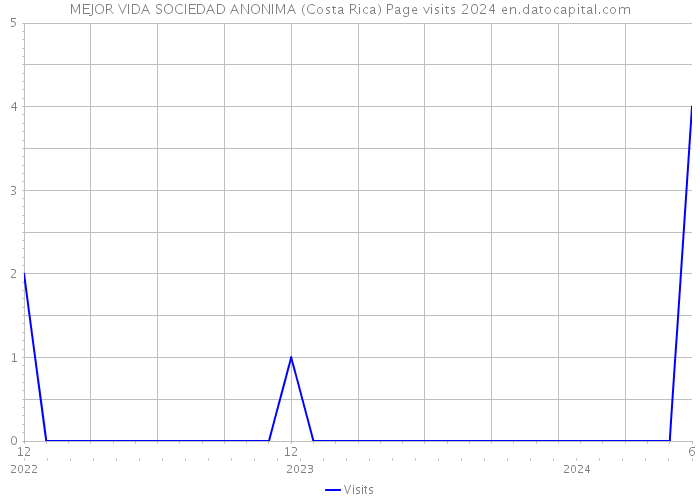 MEJOR VIDA SOCIEDAD ANONIMA (Costa Rica) Page visits 2024 