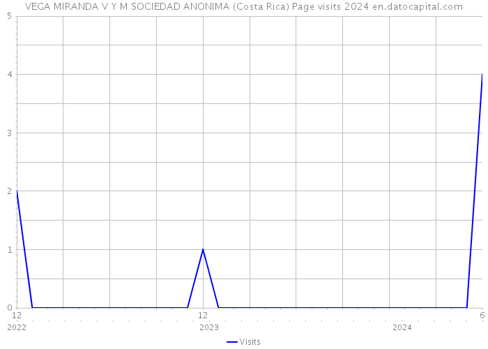 VEGA MIRANDA V Y M SOCIEDAD ANONIMA (Costa Rica) Page visits 2024 