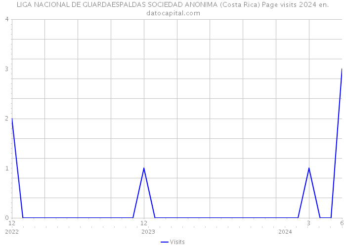 LIGA NACIONAL DE GUARDAESPALDAS SOCIEDAD ANONIMA (Costa Rica) Page visits 2024 