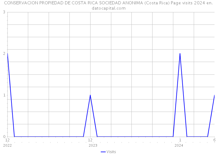 CONSERVACION PROPIEDAD DE COSTA RICA SOCIEDAD ANONIMA (Costa Rica) Page visits 2024 