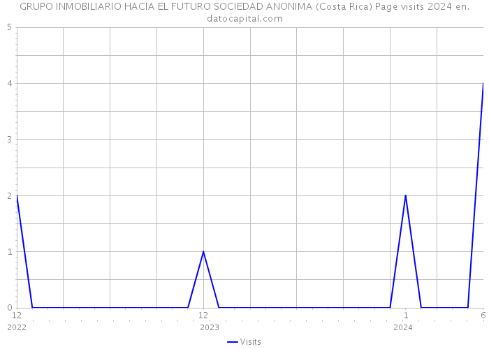 GRUPO INMOBILIARIO HACIA EL FUTURO SOCIEDAD ANONIMA (Costa Rica) Page visits 2024 