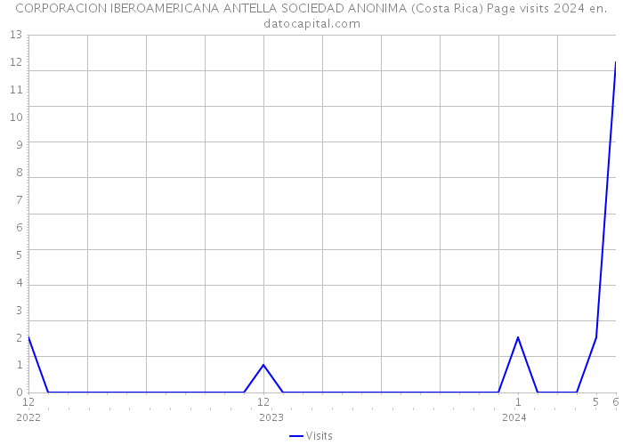 CORPORACION IBEROAMERICANA ANTELLA SOCIEDAD ANONIMA (Costa Rica) Page visits 2024 