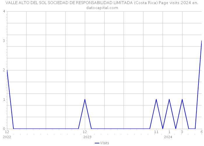 VALLE ALTO DEL SOL SOCIEDAD DE RESPONSABILIDAD LIMITADA (Costa Rica) Page visits 2024 
