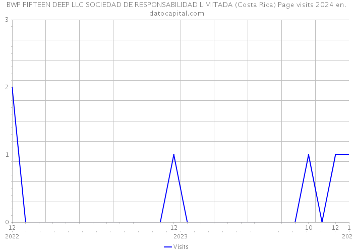 BWP FIFTEEN DEEP LLC SOCIEDAD DE RESPONSABILIDAD LIMITADA (Costa Rica) Page visits 2024 