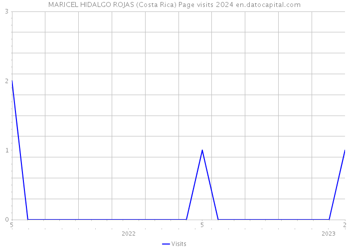 MARICEL HIDALGO ROJAS (Costa Rica) Page visits 2024 