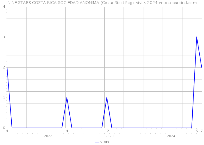 NINE STARS COSTA RICA SOCIEDAD ANONIMA (Costa Rica) Page visits 2024 