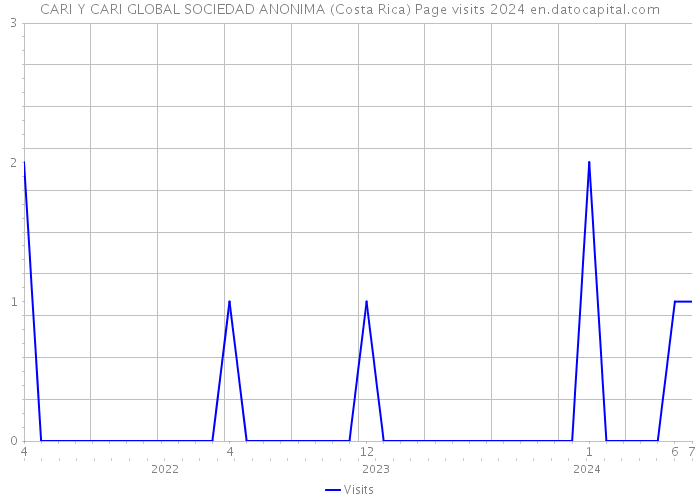 CARI Y CARI GLOBAL SOCIEDAD ANONIMA (Costa Rica) Page visits 2024 