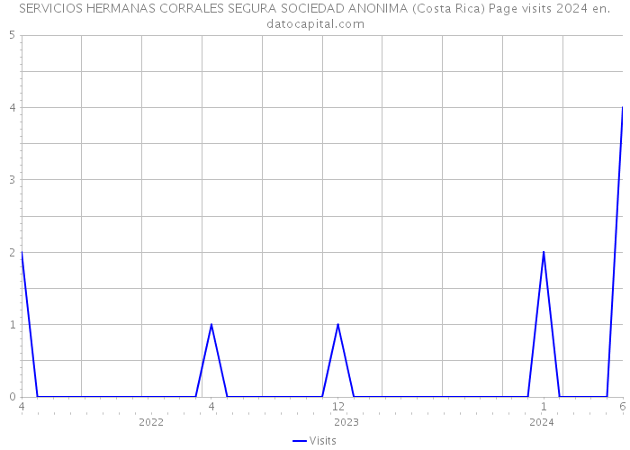 SERVICIOS HERMANAS CORRALES SEGURA SOCIEDAD ANONIMA (Costa Rica) Page visits 2024 