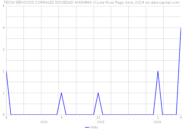 TECNI SERVICIOS CORRALES SOCIEDAD ANONIMA (Costa Rica) Page visits 2024 