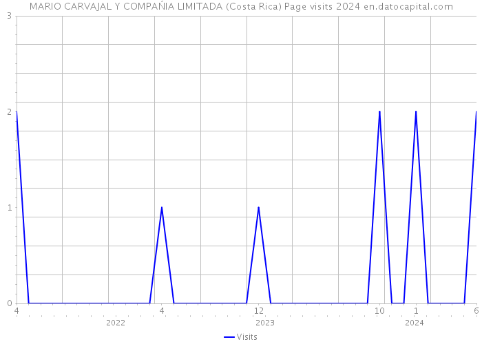 MARIO CARVAJAL Y COMPAŃIA LIMITADA (Costa Rica) Page visits 2024 