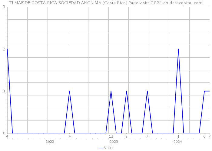 TI MAE DE COSTA RICA SOCIEDAD ANONIMA (Costa Rica) Page visits 2024 