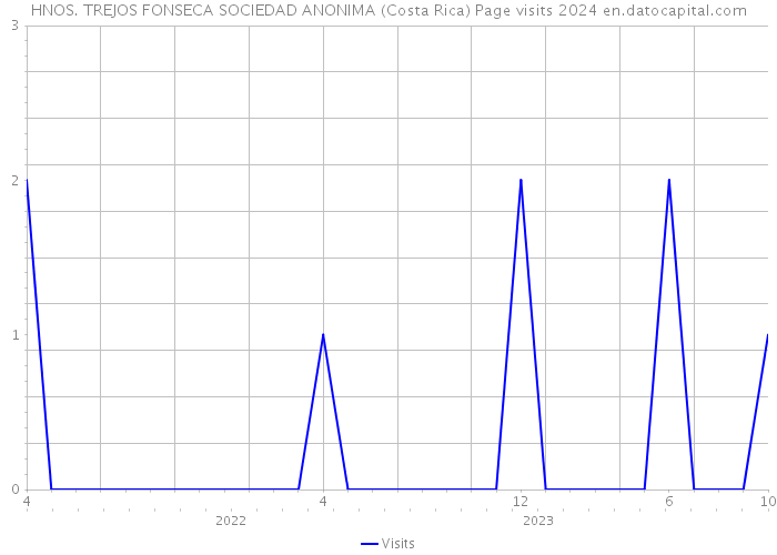 HNOS. TREJOS FONSECA SOCIEDAD ANONIMA (Costa Rica) Page visits 2024 