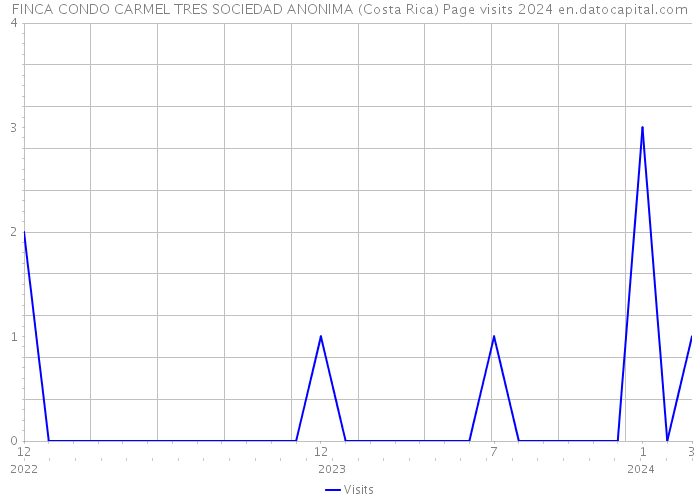 FINCA CONDO CARMEL TRES SOCIEDAD ANONIMA (Costa Rica) Page visits 2024 