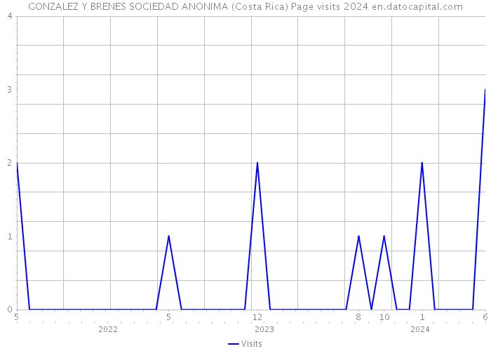 GONZALEZ Y BRENES SOCIEDAD ANONIMA (Costa Rica) Page visits 2024 