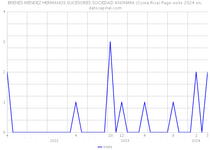 BRENES MENDEZ HERMANOS SUCESORES SOCIEDAD ANONIMA (Costa Rica) Page visits 2024 