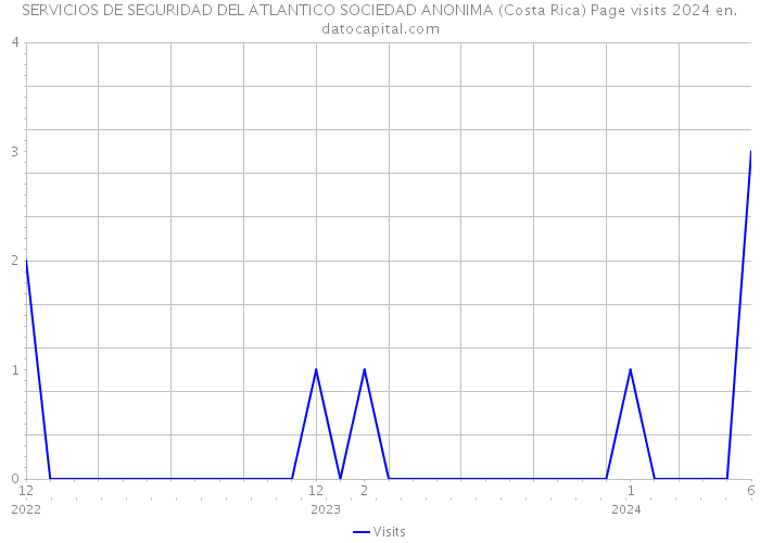 SERVICIOS DE SEGURIDAD DEL ATLANTICO SOCIEDAD ANONIMA (Costa Rica) Page visits 2024 
