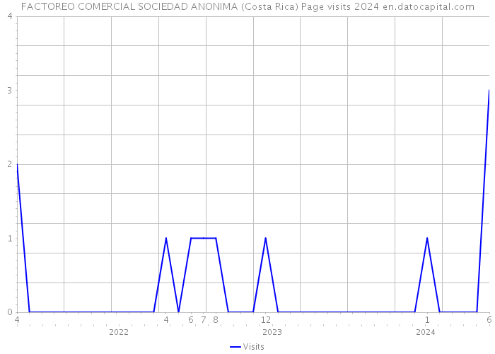 FACTOREO COMERCIAL SOCIEDAD ANONIMA (Costa Rica) Page visits 2024 
