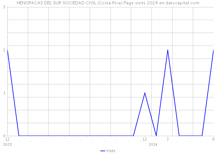 HENOPACAS DEL SUR SOCIEDAD CIVIL (Costa Rica) Page visits 2024 