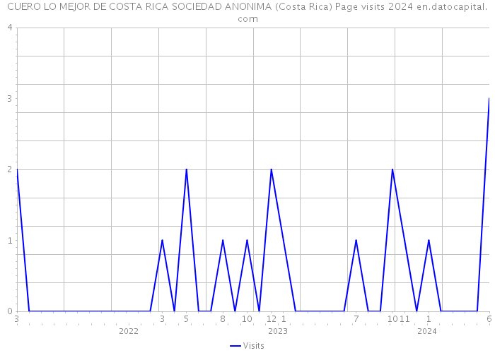 CUERO LO MEJOR DE COSTA RICA SOCIEDAD ANONIMA (Costa Rica) Page visits 2024 