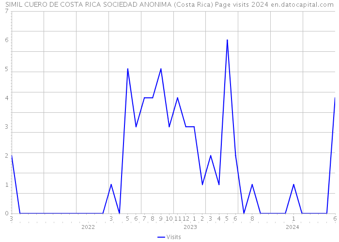 SIMIL CUERO DE COSTA RICA SOCIEDAD ANONIMA (Costa Rica) Page visits 2024 