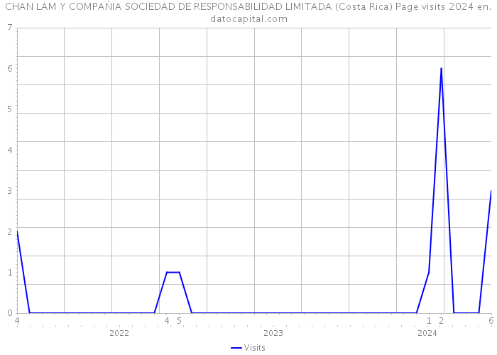 CHAN LAM Y COMPAŃIA SOCIEDAD DE RESPONSABILIDAD LIMITADA (Costa Rica) Page visits 2024 