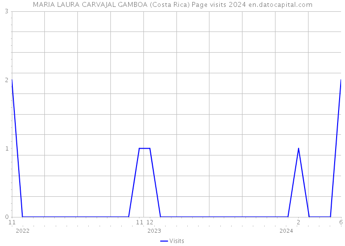 MARIA LAURA CARVAJAL GAMBOA (Costa Rica) Page visits 2024 