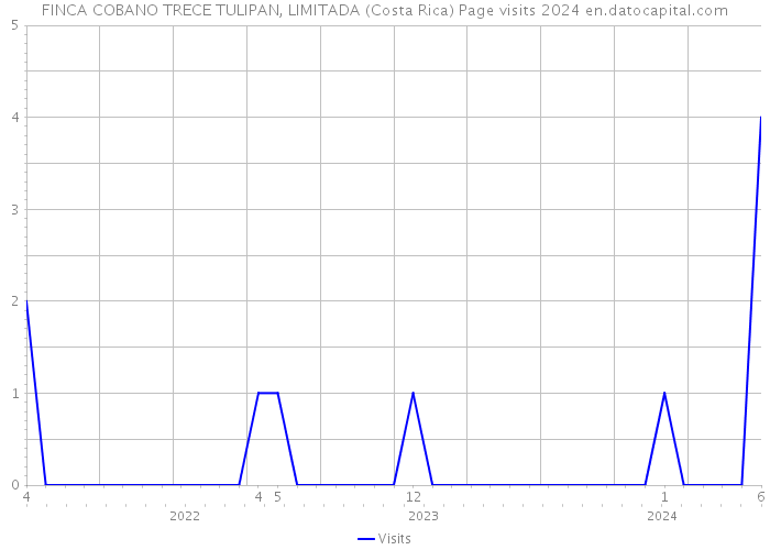 FINCA COBANO TRECE TULIPAN, LIMITADA (Costa Rica) Page visits 2024 