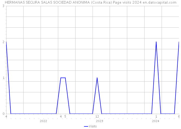 HERMANAS SEGURA SALAS SOCIEDAD ANONIMA (Costa Rica) Page visits 2024 