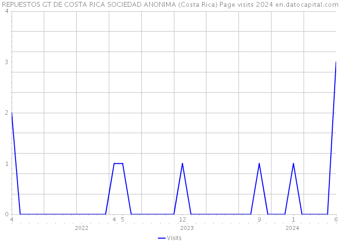 REPUESTOS GT DE COSTA RICA SOCIEDAD ANONIMA (Costa Rica) Page visits 2024 