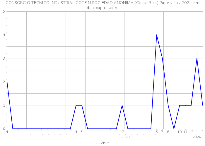 CONSORCIO TECNICO INDUSTRIAL COTEIN SOCIEDAD ANONIMA (Costa Rica) Page visits 2024 