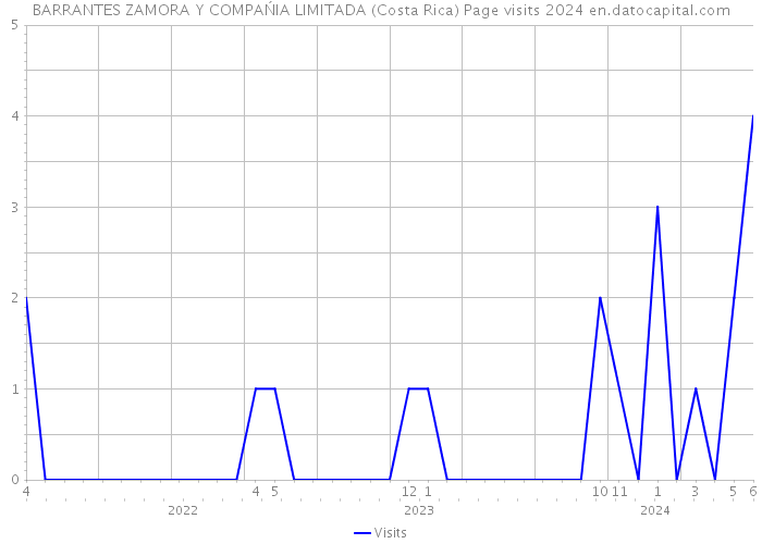 BARRANTES ZAMORA Y COMPAŃIA LIMITADA (Costa Rica) Page visits 2024 