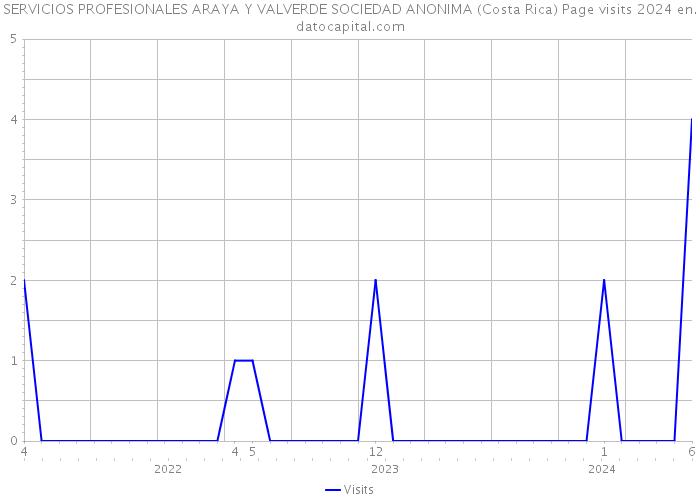 SERVICIOS PROFESIONALES ARAYA Y VALVERDE SOCIEDAD ANONIMA (Costa Rica) Page visits 2024 