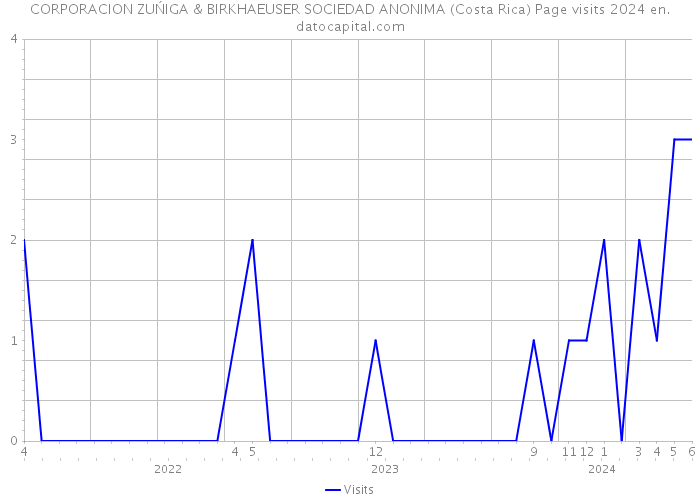 CORPORACION ZUŃIGA & BIRKHAEUSER SOCIEDAD ANONIMA (Costa Rica) Page visits 2024 