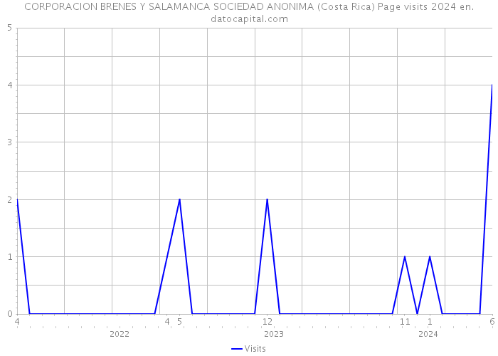 CORPORACION BRENES Y SALAMANCA SOCIEDAD ANONIMA (Costa Rica) Page visits 2024 
