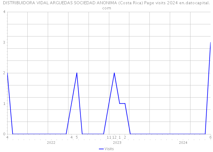 DISTRIBUIDORA VIDAL ARGUEDAS SOCIEDAD ANONIMA (Costa Rica) Page visits 2024 