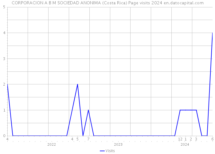 CORPORACION A B M SOCIEDAD ANONIMA (Costa Rica) Page visits 2024 