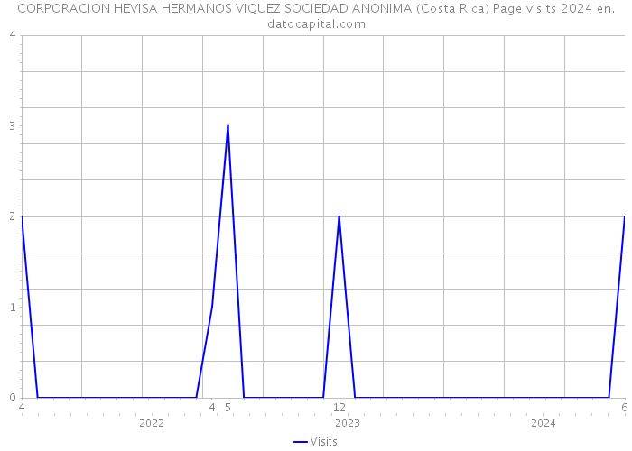 CORPORACION HEVISA HERMANOS VIQUEZ SOCIEDAD ANONIMA (Costa Rica) Page visits 2024 