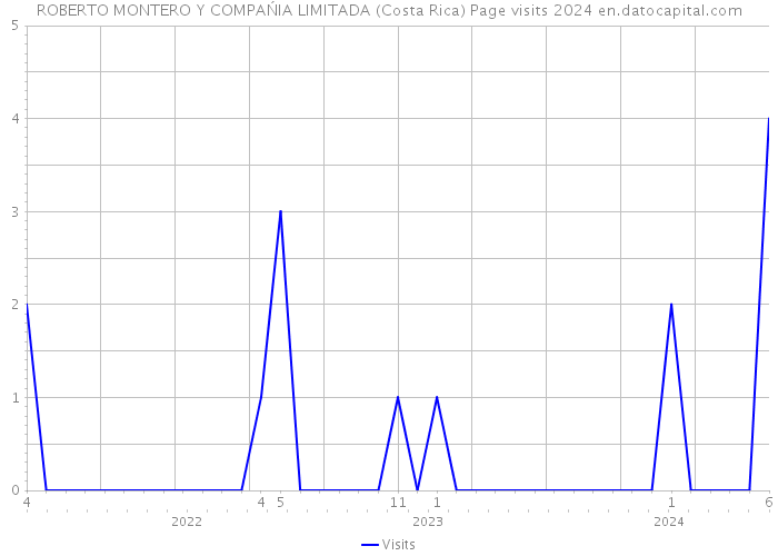 ROBERTO MONTERO Y COMPAŃIA LIMITADA (Costa Rica) Page visits 2024 
