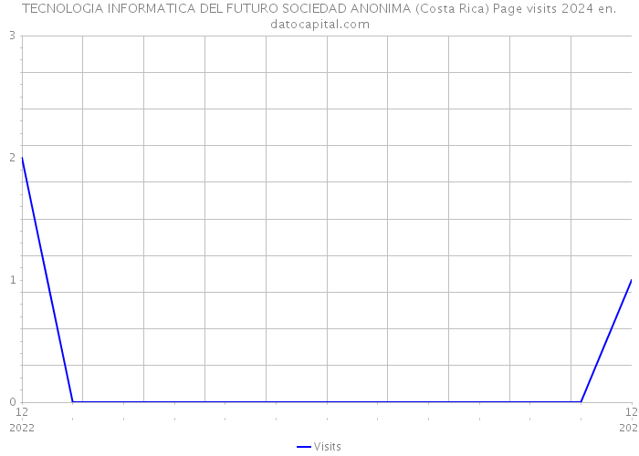 TECNOLOGIA INFORMATICA DEL FUTURO SOCIEDAD ANONIMA (Costa Rica) Page visits 2024 